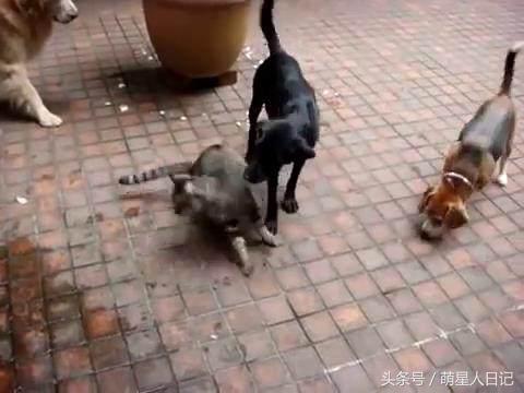 ��ֻ�������ֹ����в�С�Ĳȵ������ˣ�Ȼ��������������ð�����