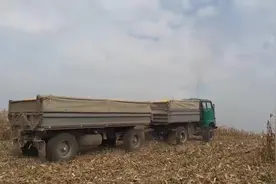 小马拉大车，翻斗车拉两节车厢，看着都感觉很吃力视频封面