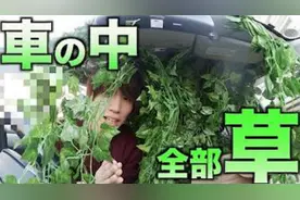 《作死小能手》哈吉咩，如果汽车里满是草会怎么样视频封面