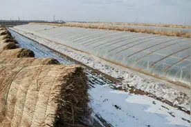 蔬菜大棚建造，冬暖式大棚的建造技术及材料视频封面