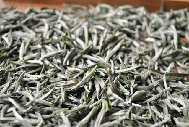 茶叶茸毛与品质的关系，你都清楚吗？