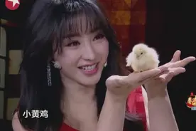 最性感国民女神柳岩接董卿的班给傅琰东当托！怎能专心看魔术？！视频封面