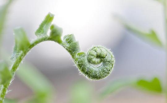 姣忓ぉ鍚冨畠鍙紦瑙h剼姘旂梾銆佷究绉樎仿仿? onerror=