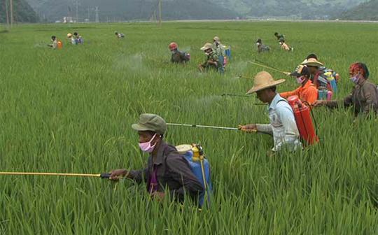 姣忓ぉ鍚冨畠鍙紦瑙h剼姘旂梾銆佷究绉樎仿仿? onerror=