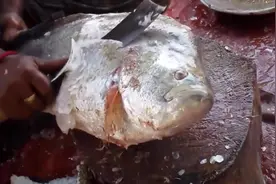 这种去鱼鳞的方法和技术，几两肉都没了视频封面