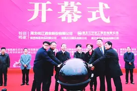 枝江桃花艺术节视频封面