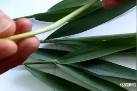 民间钓手演示: 芦苇芯垂钓大草鱼, 钓鱼钩该怎么挂?