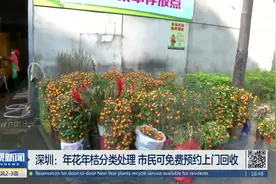 年花年桔分类处理 深圳市民可免费预约上门回收