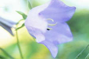 调侃上网的最新句子，深刻，很逗!图