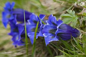 调侃上网的新句子，很有趣!图