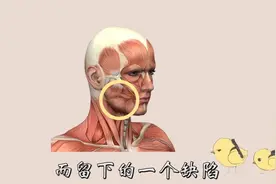 人体探秘：人类脸上的酒窝梨涡是如何形成的？