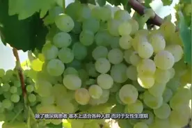 女生“大姨妈”可以吃的几种水果，男生要知道，别买错了