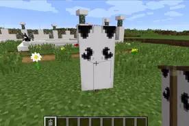 汤汤教你做旗帜02：如何做一碗米饭和大熊猫视频封面