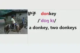 英语单词驴子：donkey的复数donkeys两头 驴子two donkeys视频封面