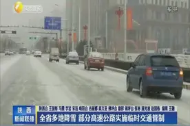 陕西省多地降雪 部分高速公路实施临时交通管制视频封面