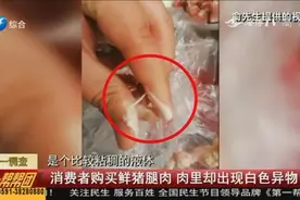 新鲜猪腿肉里挤出“牛奶”  监督所给答案“淋巴结”【帮帮团】视频封面