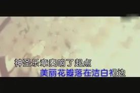 海生演唱《我们结婚了》我们结婚了就在今天 美丽花瓣落在洁白裙