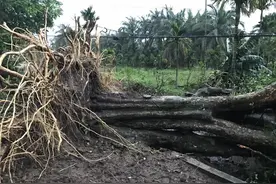 海南万宁遭遇疑似龙卷风袭击 16间瓦房被掀图片