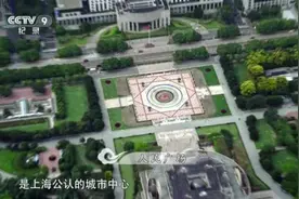 鸟儿眼中的上海美不胜收！你敢说你真的熟悉这些地标吗？图片