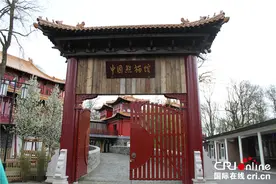 荷兰各界做足功课 准备迎接中国大熊猫(组图)图片