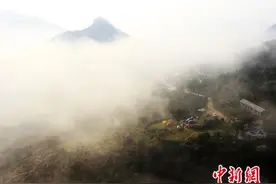 浙江平阳“谱写”旅游新格局：一山一岛一园图片