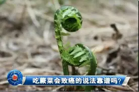 吃蕨菜会致癌的说法靠谱吗？图片