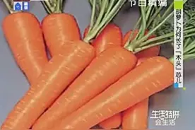 胡萝卜为何长了“木头”芯，如何挑选新鲜胡萝卜有窍门！