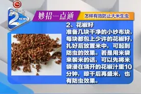 妙招一点通：怎样有效防止大米生虫？大蒜花椒籽有奇用！