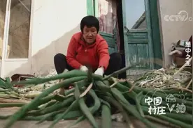《中国村庄》山东济南章丘：葱中之王