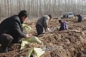 孙子帮爷爷要工资, 这样向老板提条件, 旁边的农民工都笑了视频封面