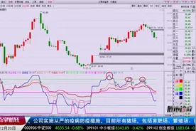 这样的技法一定要学会，RSI顶底背离的绝密技法视频封面