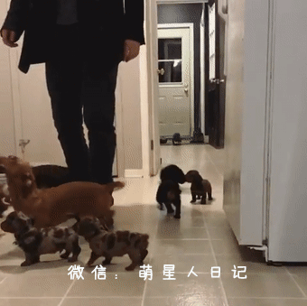 ����ʺ�ƿ�����������һ��Ⱥ����ȮΧ�£�ԭ������������ڴ��İ�