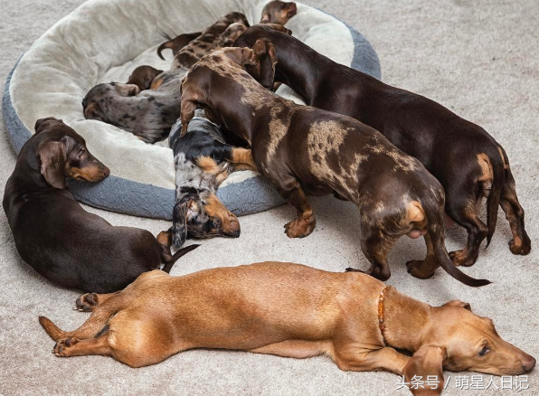 ����ʺ�ƿ�����������һ��Ⱥ����ȮΧ�£�ԭ������������ڴ��İ�