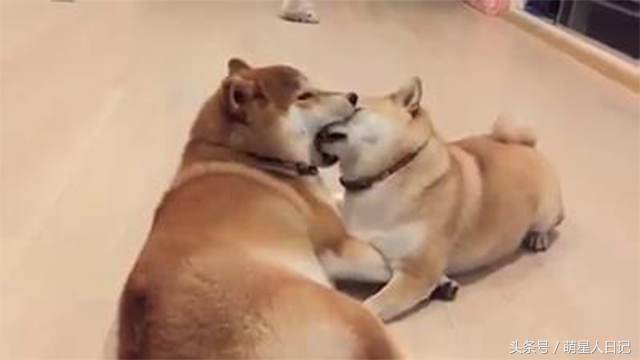 ��Ȯ���������������������ǻ���������۾�����ȷ�������������