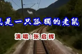 一首《我是一只孤独的老鼠》好听哭了