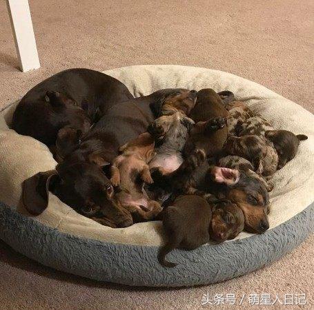 ����ʺ�ƿ�����������һ��Ⱥ����ȮΧ�£�ԭ������������ڴ��İ�