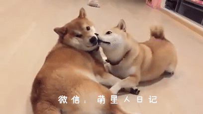 ��Ȯ���������������������ǻ���������۾�����ȷ�������������