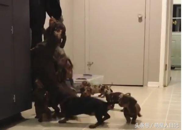 ����ʺ�ƿ�����������һ��Ⱥ����ȮΧ�£�ԭ������������ڴ��İ�