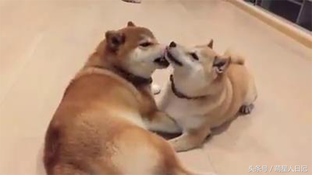 ��Ȯ���������������������ǻ���������۾�����ȷ�������������