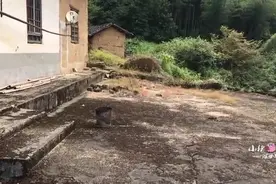 农村小伙5000租一栋老房子, 准备改造民宿农家乐, 大家觉得行吗?视频封面