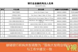 国有“五大行”变 “六大行” 邮储银行入列视频封面
