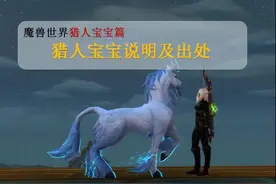 魔兽世界猎人宝宝分类大全，猎人宝宝推荐及出处。