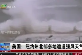 美国：纽约州北部多地遭遇强风天气，居民生活受影响视频封面