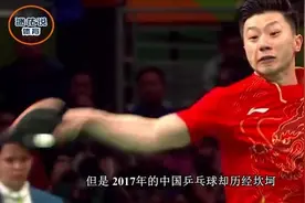 中华好男儿! 日本乒协高薪聘请刘国梁做总教练, 遭刘国梁霸气打脸