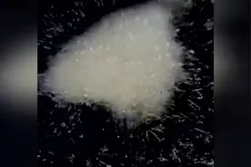 深夜食堂：老板做的章鱼香肠太好吃，黑帮老大把别人的账都结了视频封面