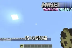我的世界：猫会不会摔死？结果可能超出你的想象