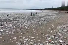 巴厘岛度假海滩成为垃圾海滩！这算是大自然对人类的惩罚吗？视频封面