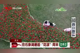 阳春三月，天气渐暖，去石象湖邂逅“花漾”周末！视频封面