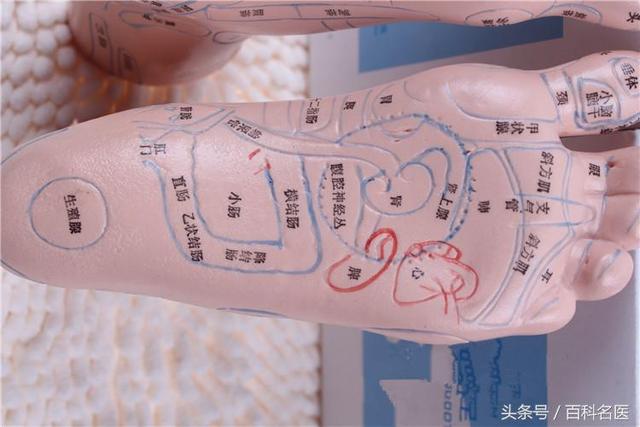 人体足部按摩经络位置图 - 冷求网