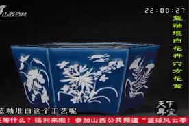 真的蓝釉堆白碗价值500万？女子带蓝釉堆白瓶做鉴定，结果尴尬了视频封面